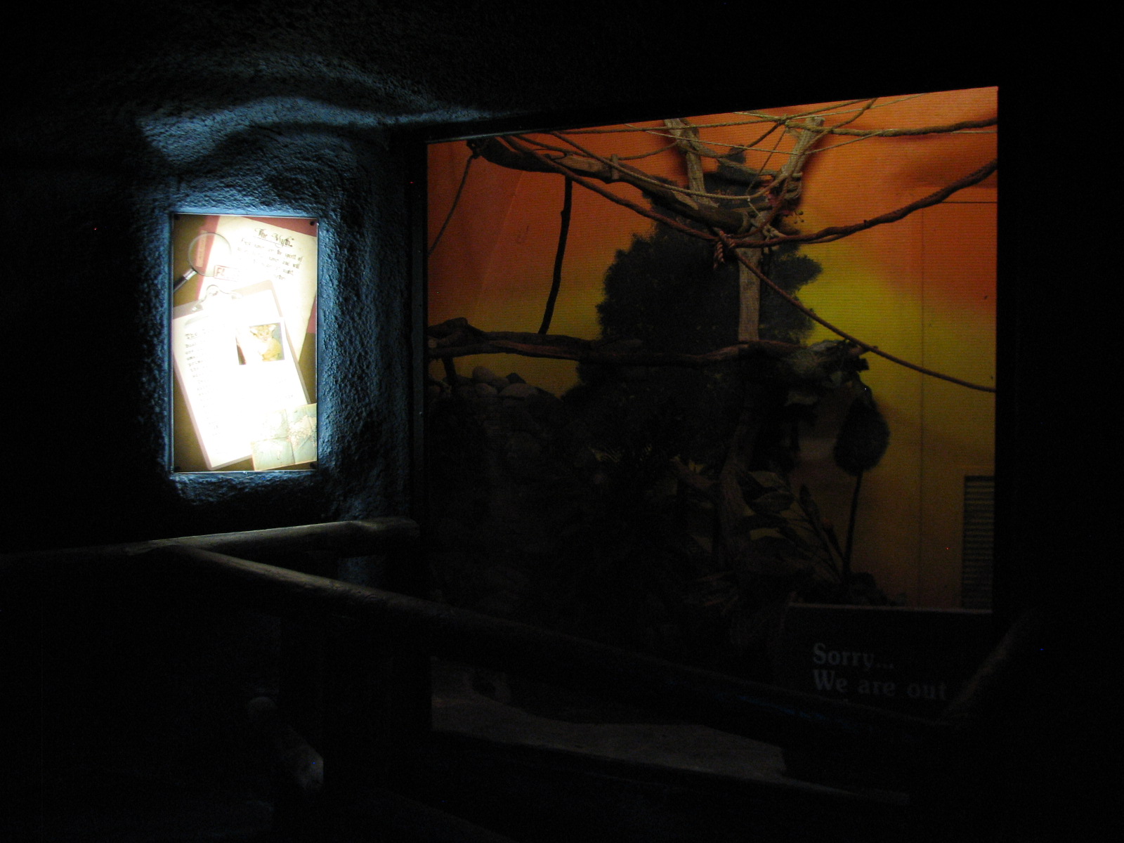 Curiosity Caverns - Greater Bush Baby Exhibit 2