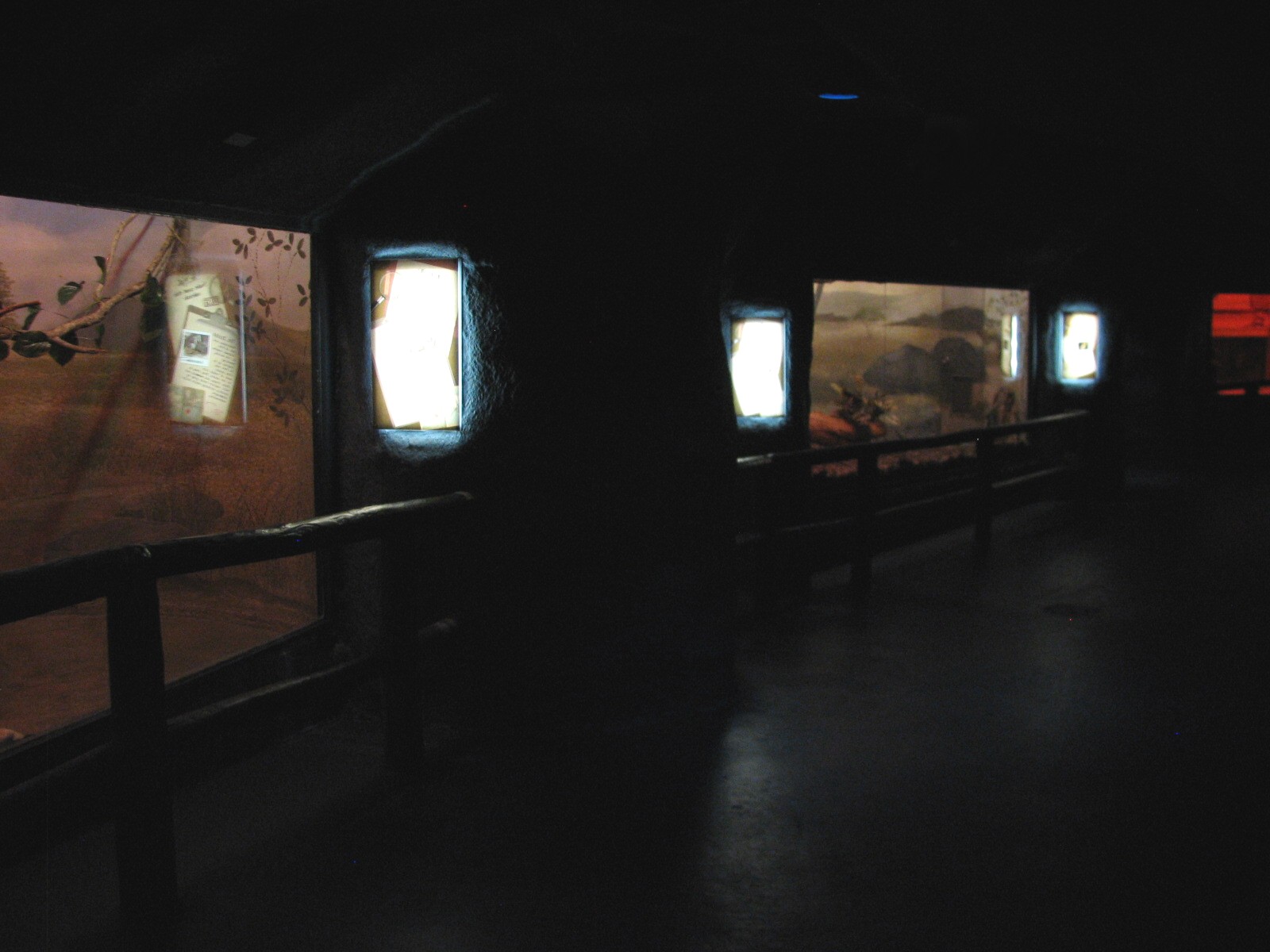 Curiosity Caverns - Interior