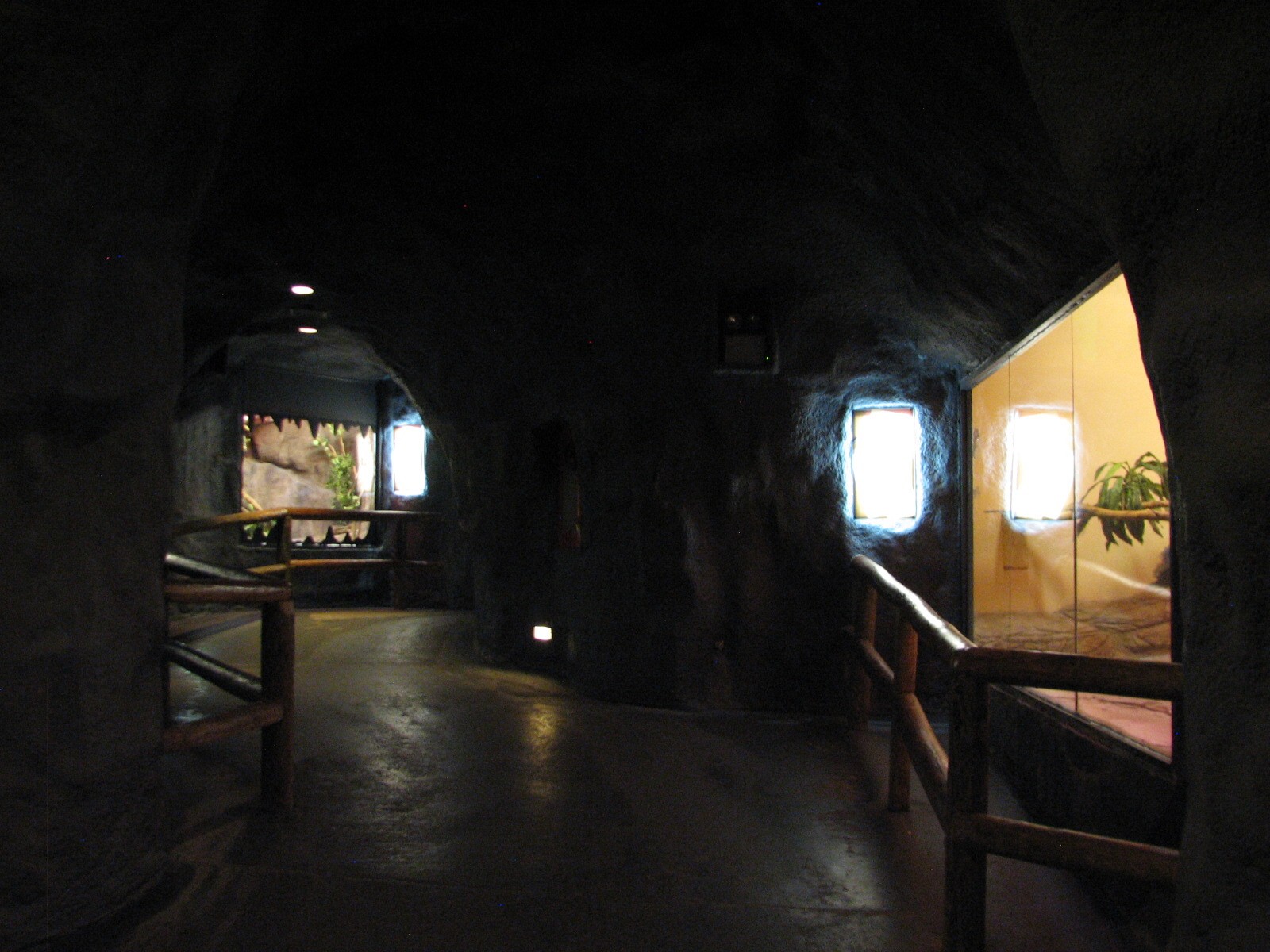 Curiosity Caverns - Interior