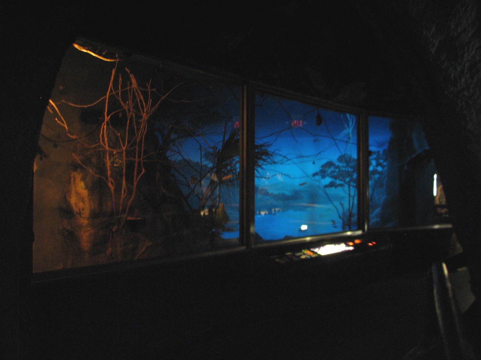 Curiosity Caverns - Leaf-nosed Fruit Bat Exhibit