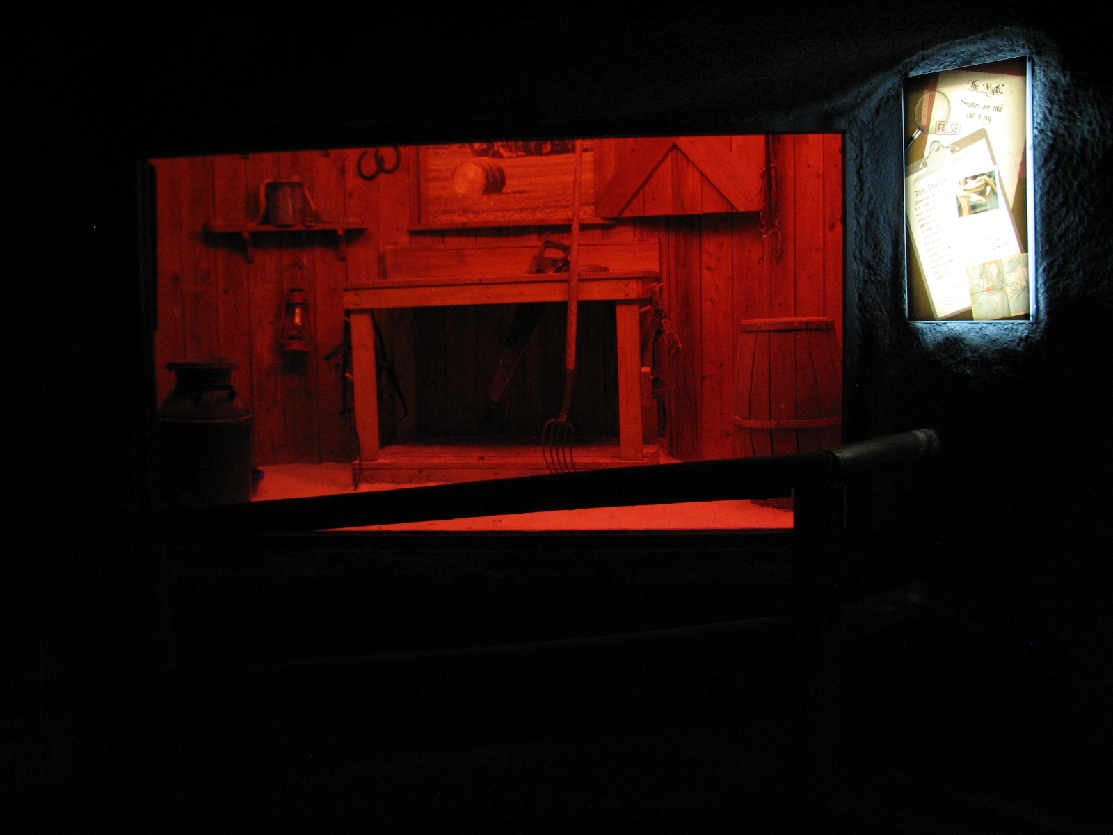 Curiosity Caverns - Ratsnake Exhibit