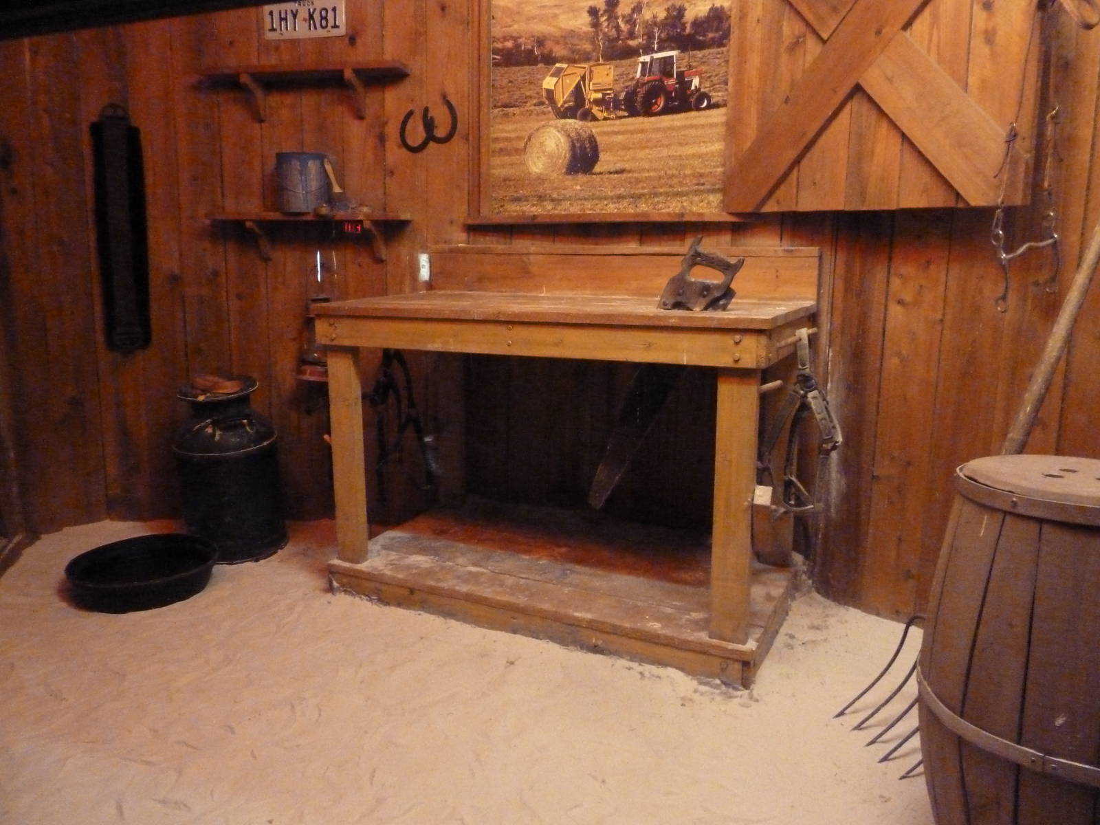 Curiosity Caverns - Ratsnake Exhibit