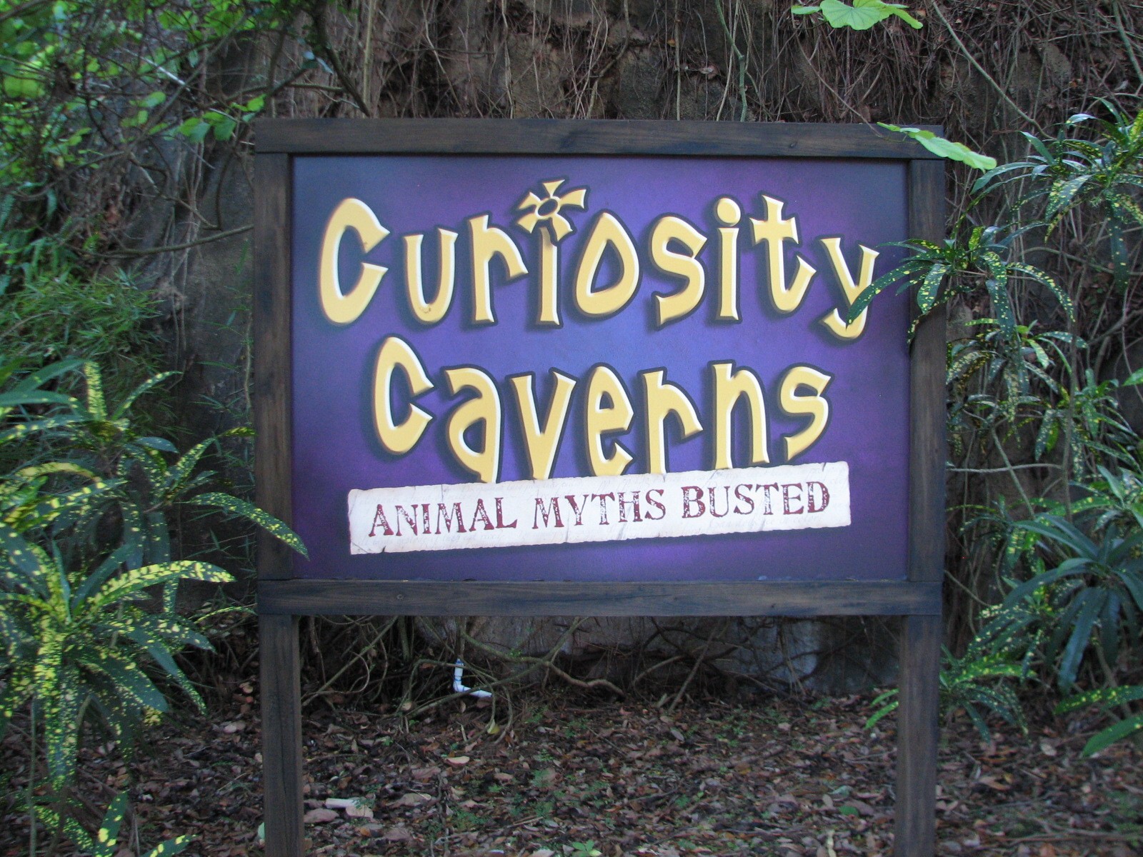 Curiosity Caverns - Sign