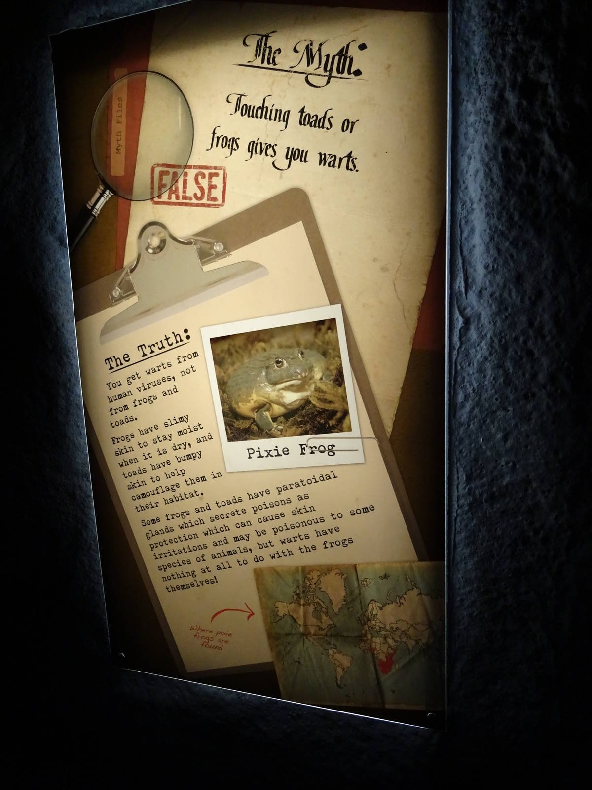 Curiosity Caverns Signage Example at Busch Gardens Tampa