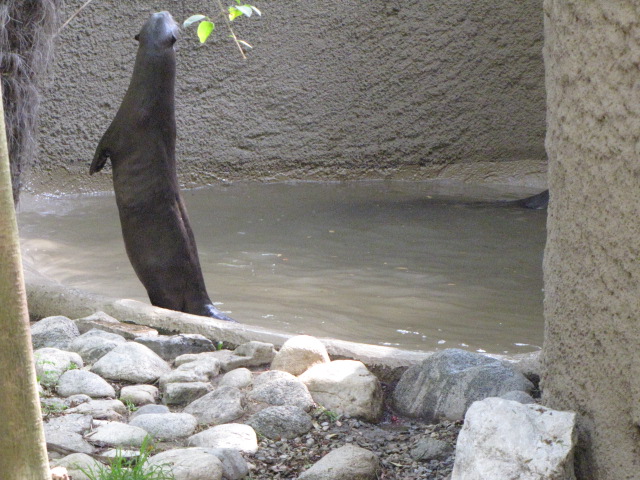 Curious About Something