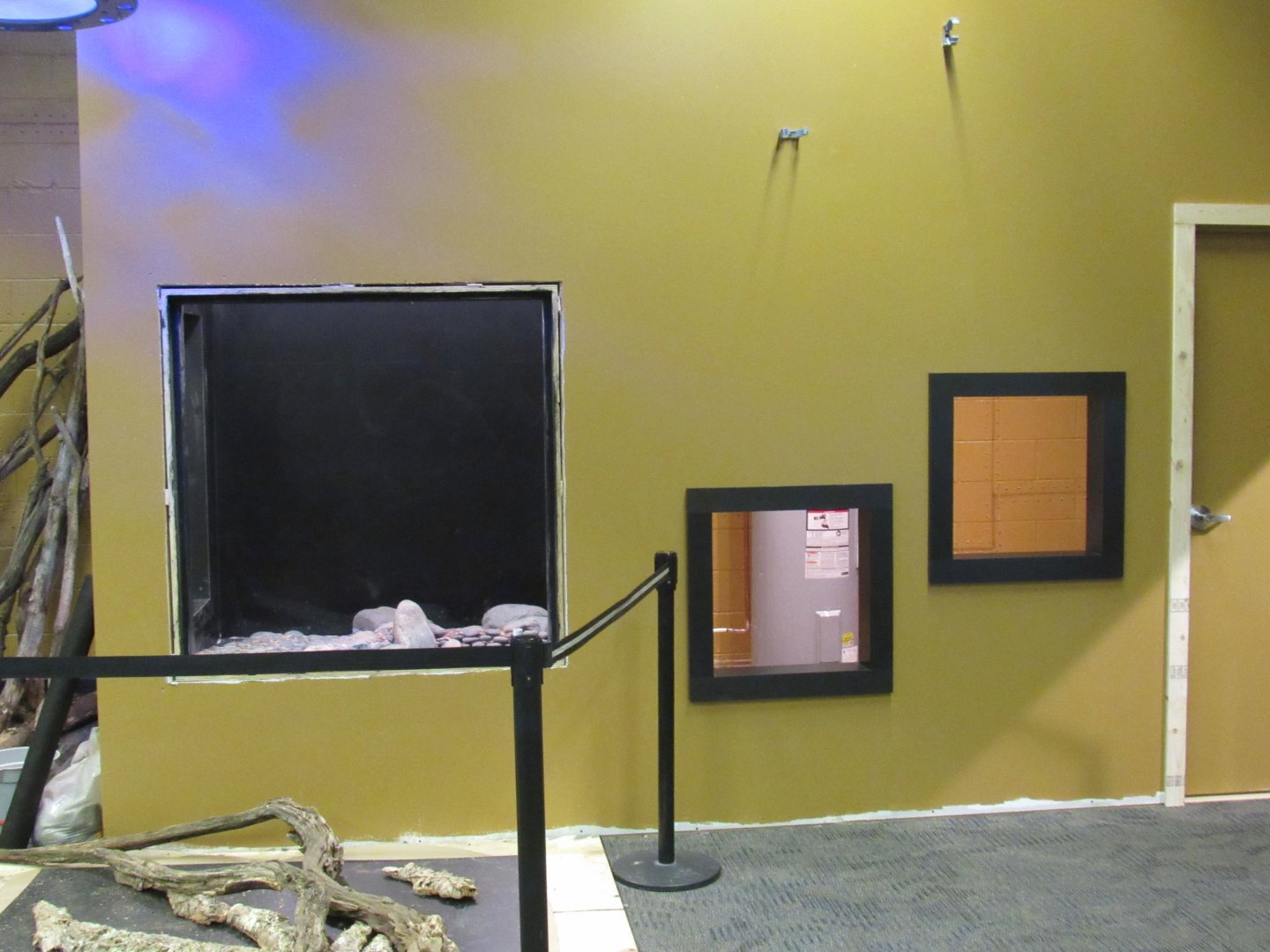 Curious Creatures Additional Exhibits Construction