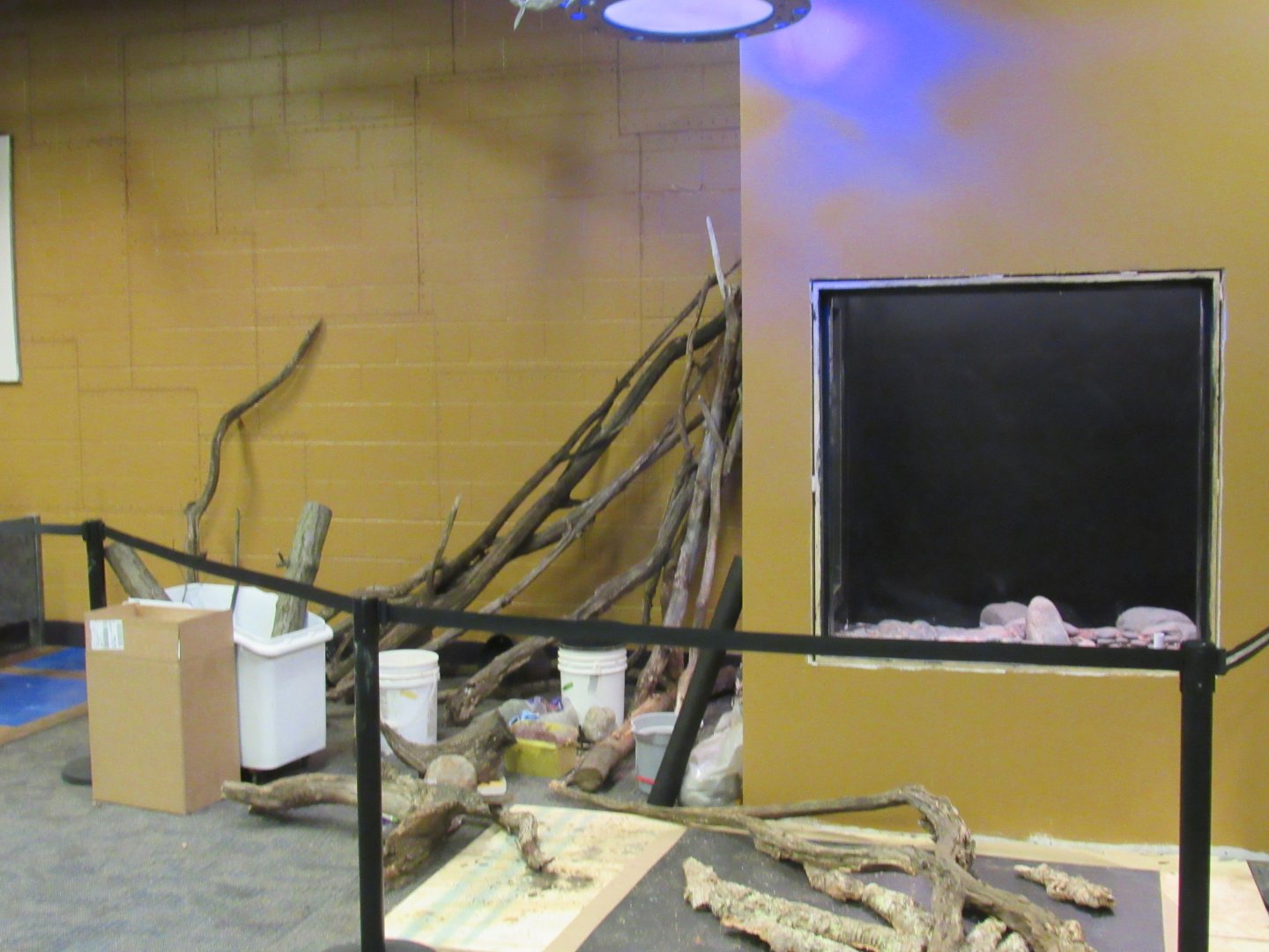 Curious Creatures Additional Exhibits Construction