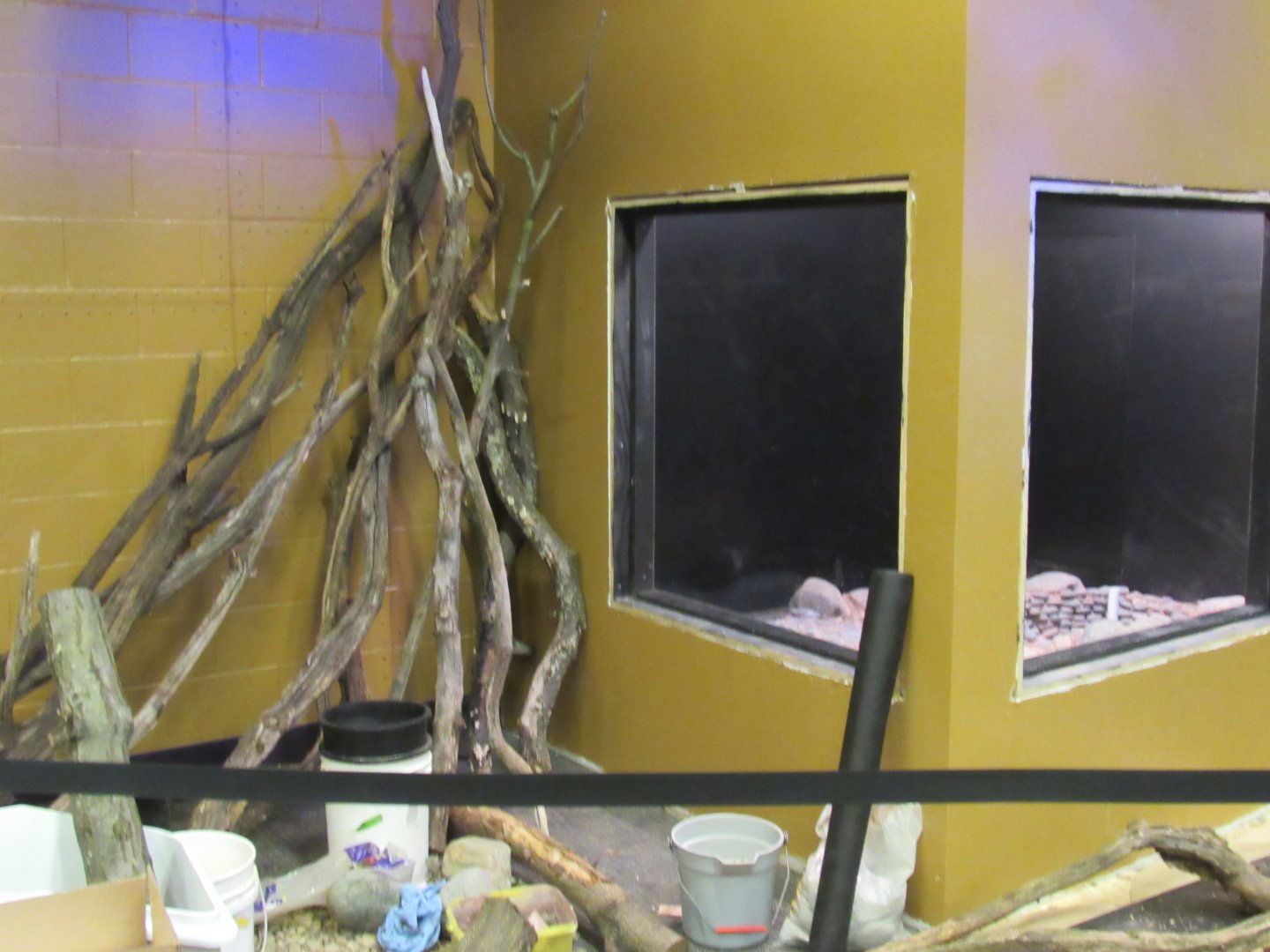 Curious Creatures Additional Exhibits Construction