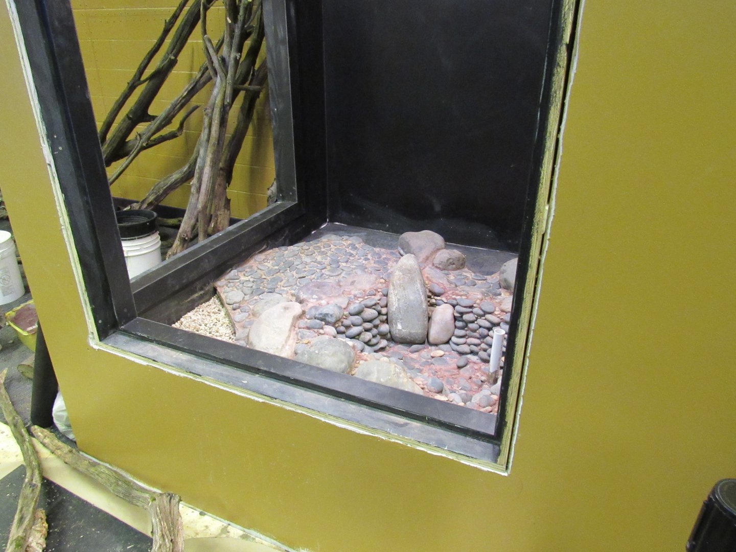 Curious Creatures Additional Exhibits Construction