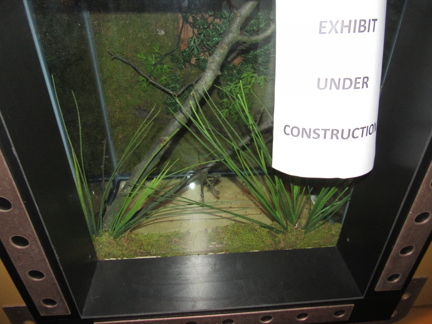 Curious Creatures Construction & Changes Update