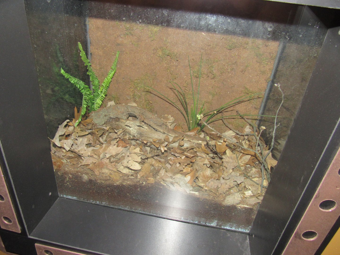 Curious Creatures Construction & Changes Update