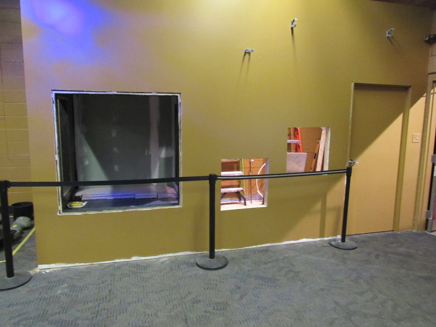 Curious Creatures Construction Update