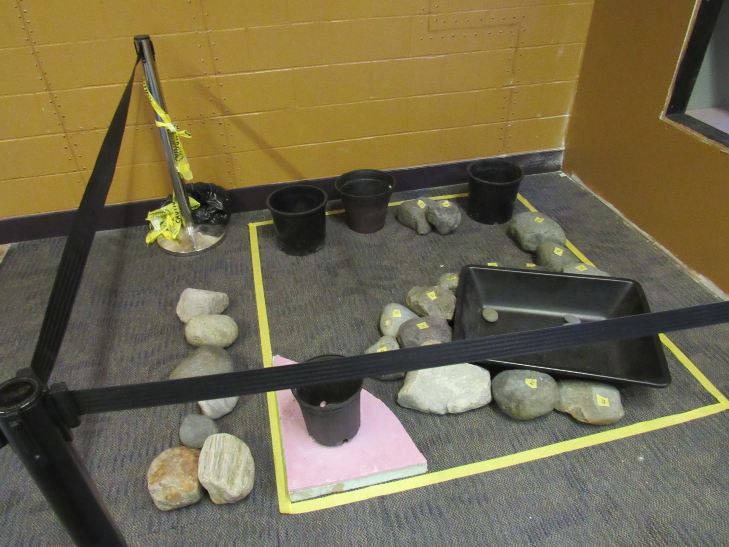 Curious Creatures Construction Update