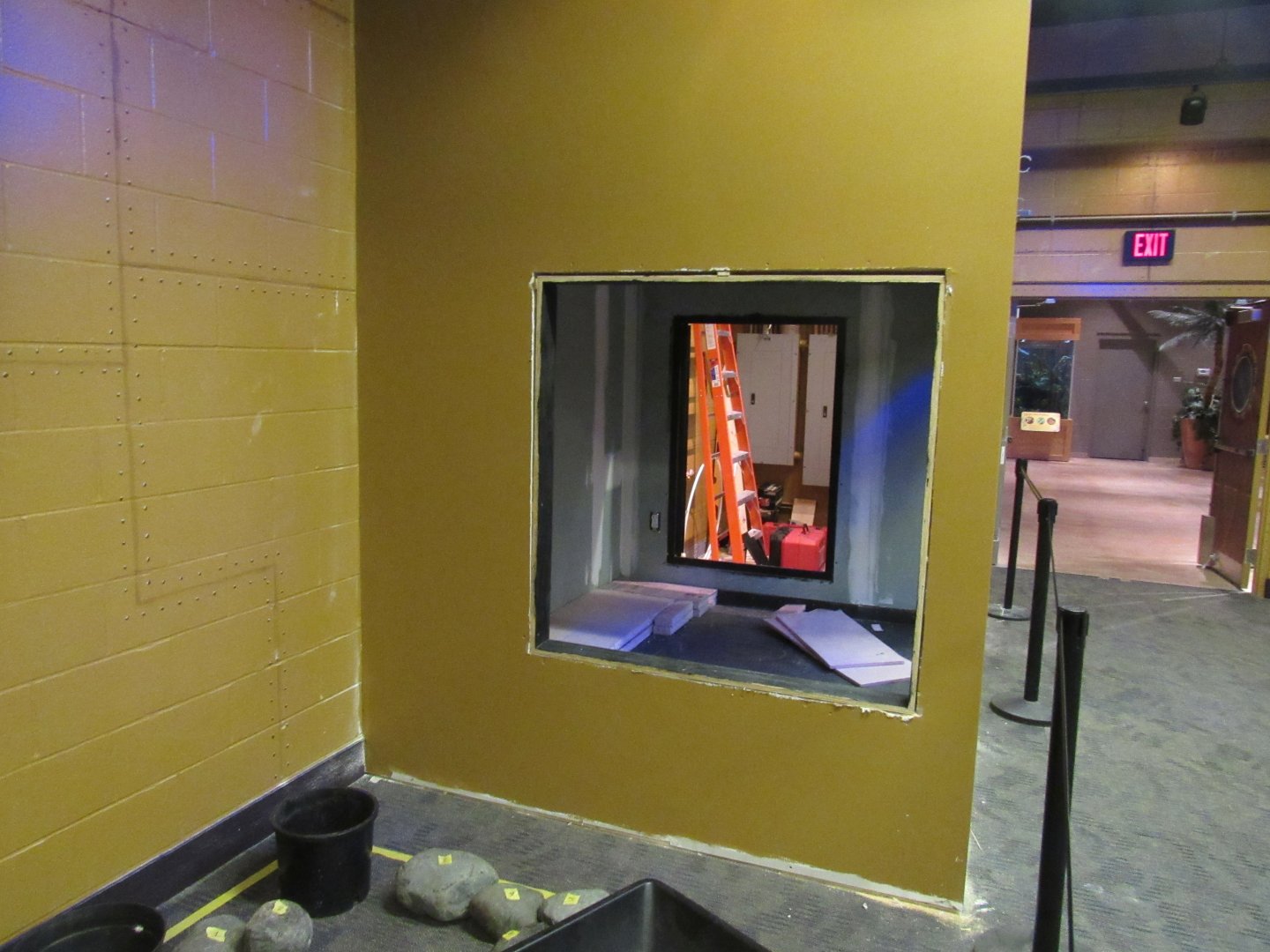 Curious Creatures Construction Update