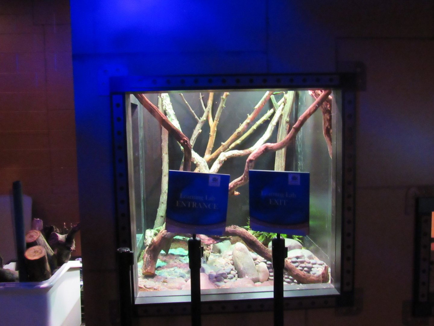 Curious Creatures Construction Update