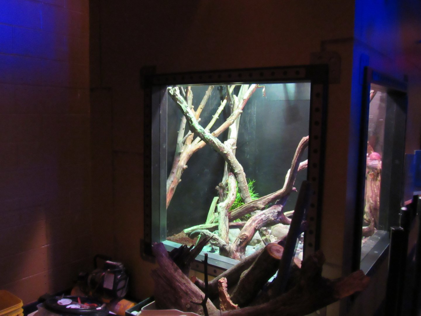 Curious Creatures Construction Update