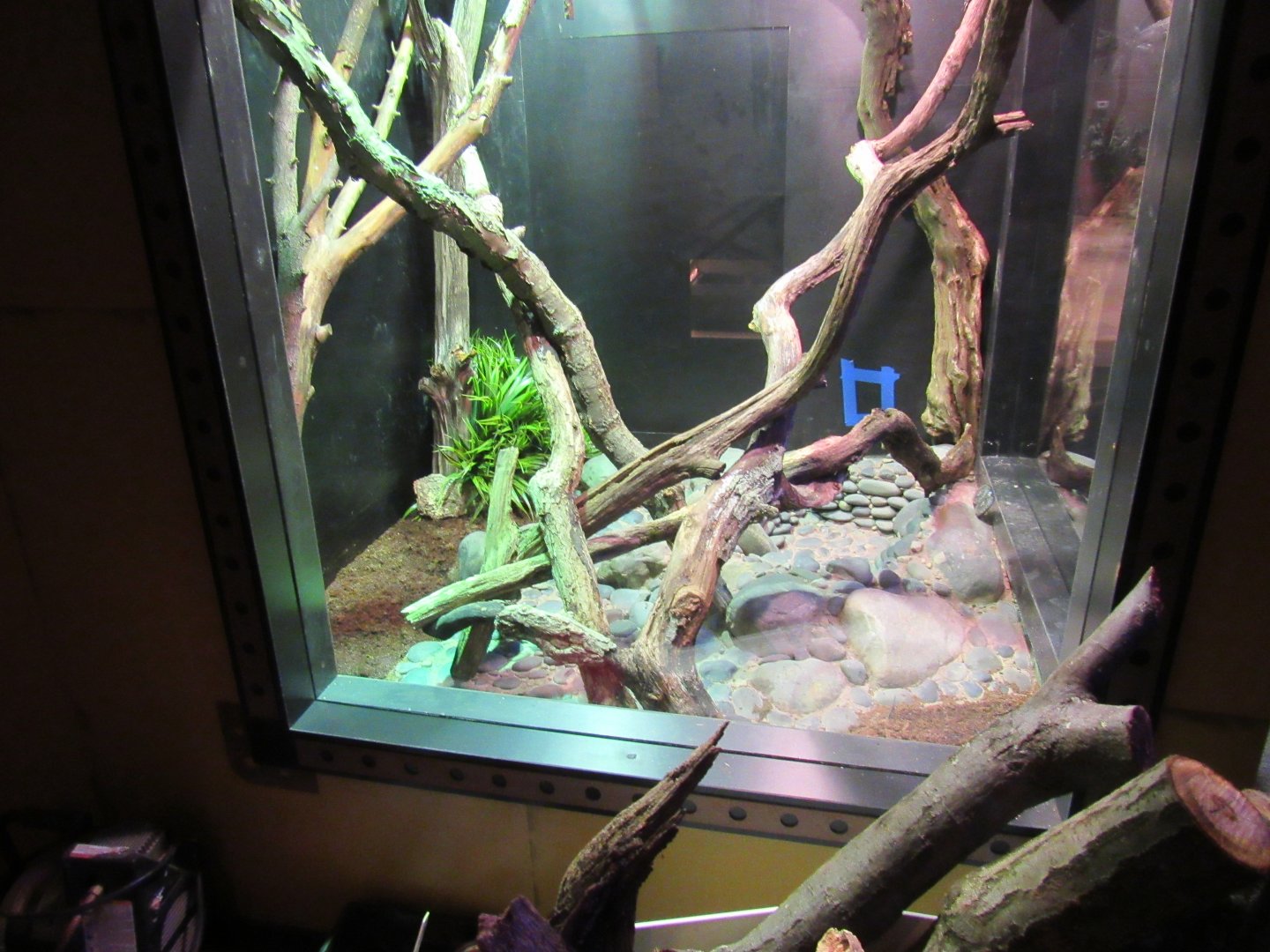 Curious Creatures Construction Update