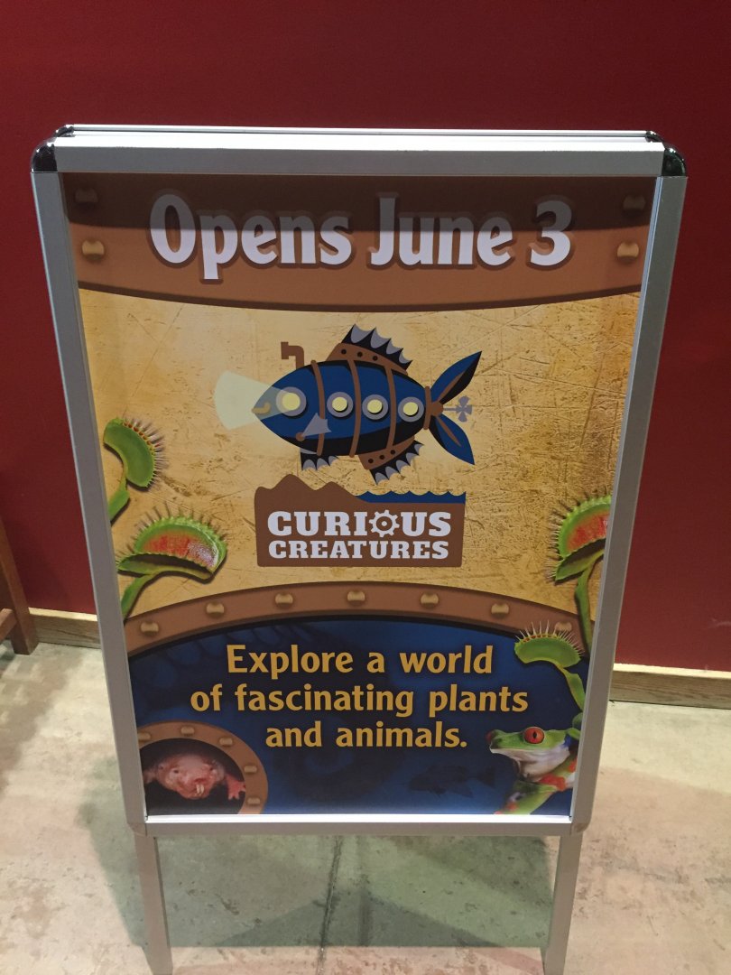 Curious Creatures logo