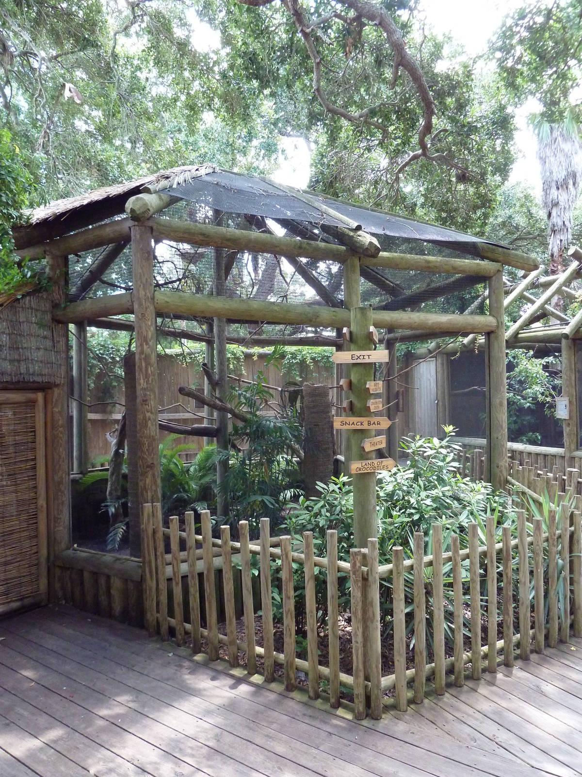 Curl-Crested Aracari Exhibit