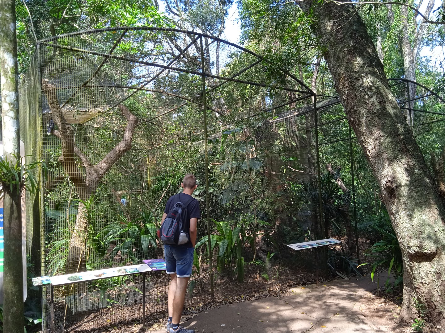 Currassow aviary