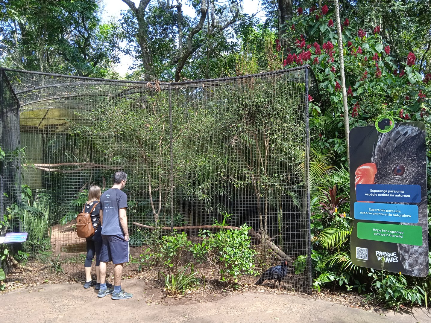 Currassow aviary
