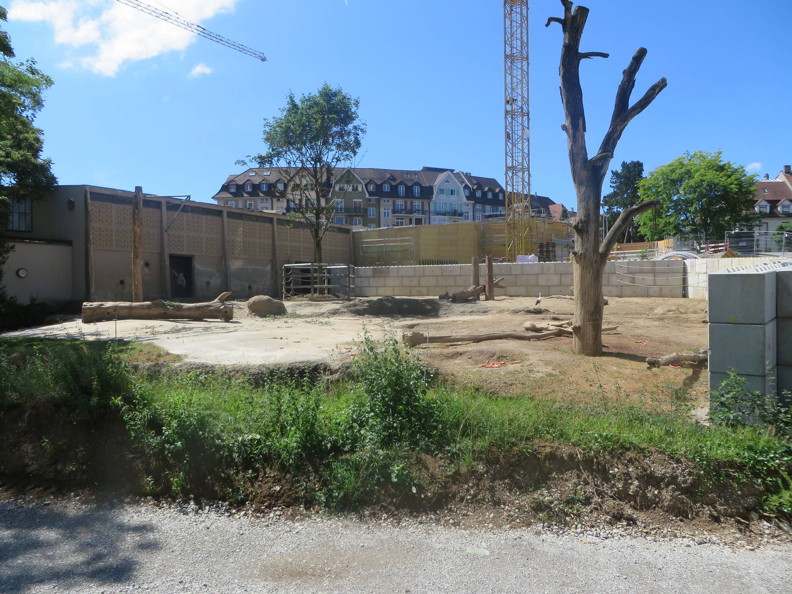 Current elephant enclosure