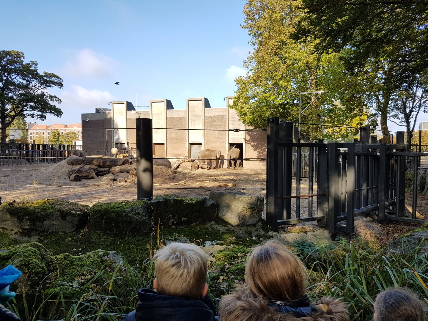 Current Elephant Enclosure