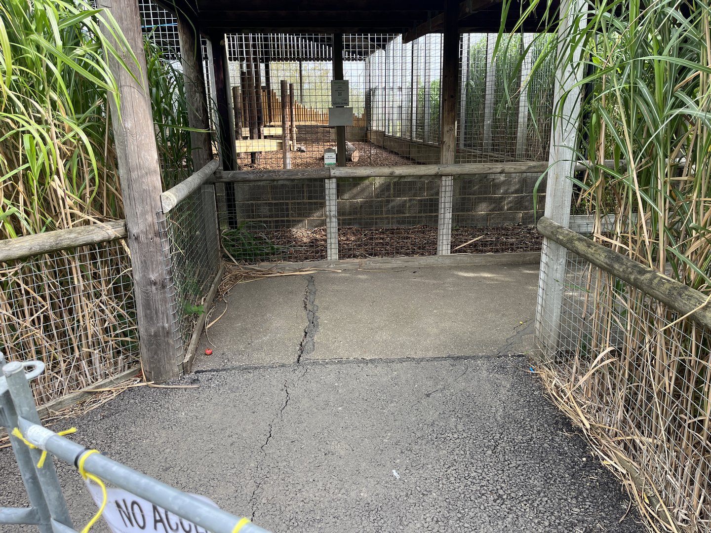 Current fence position for Brown Hyena