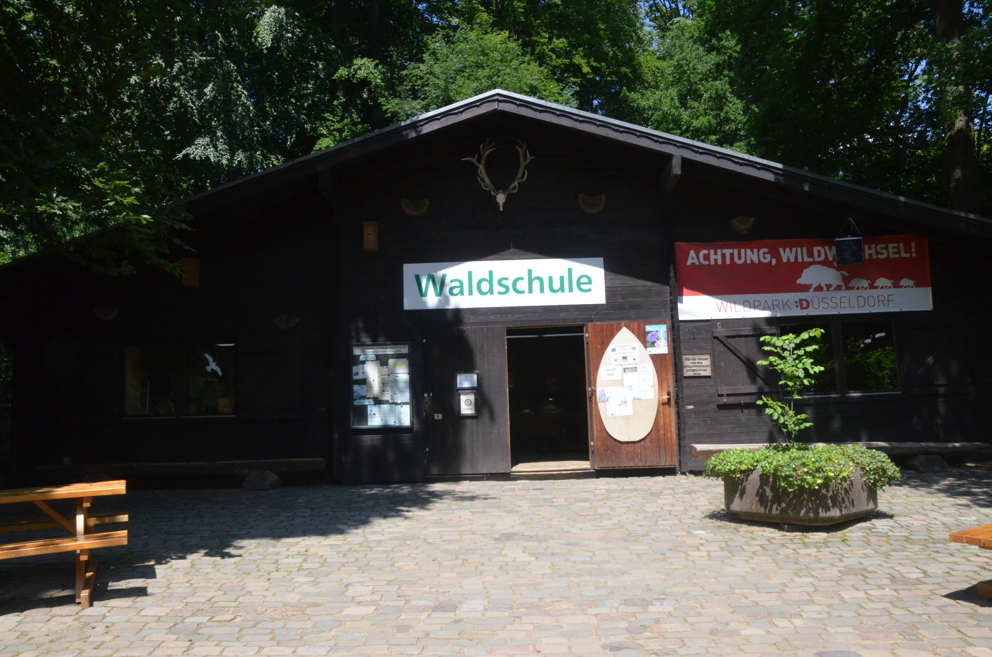 Current Forest School at Wildpark Grafenberger Wald, 23/06/2019