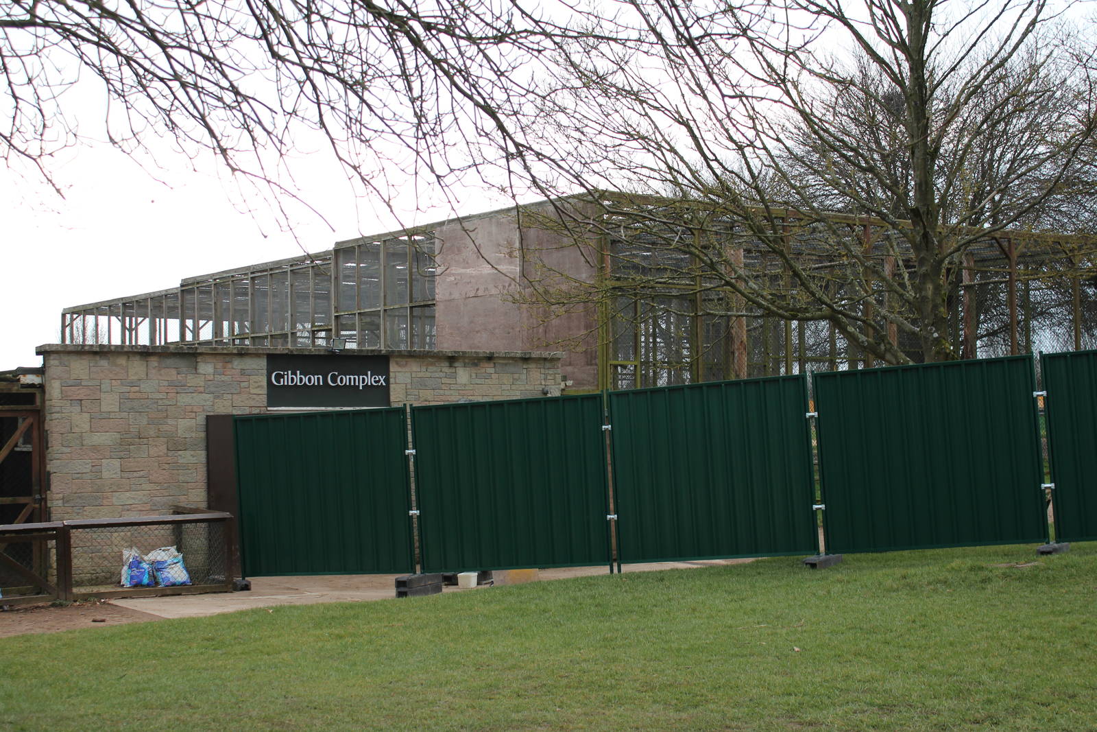 Current Gibbon complex