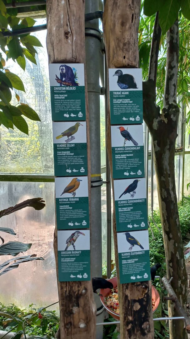 Current list of free-roaming species in Yucatan