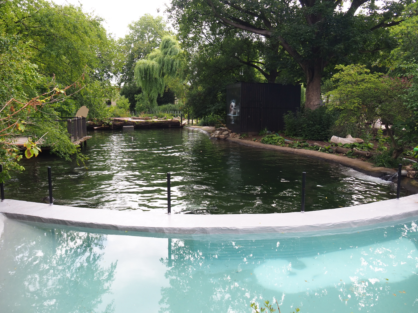 Current main Eastern Atlantic harbor seal exhibit (Former Dalmatian pelican exhibit), 2020-06-28
