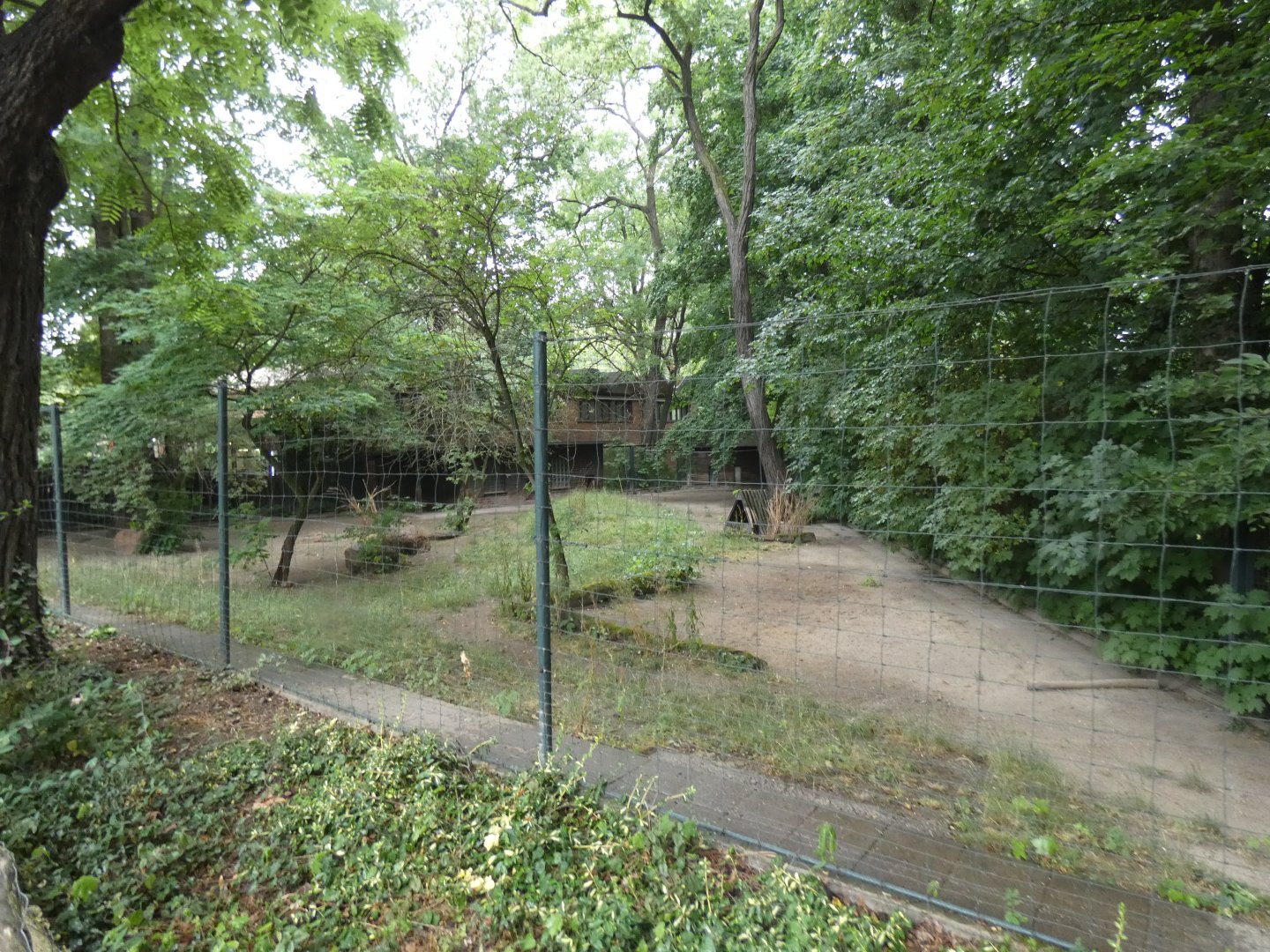 Current Maned Wolf enclosure
