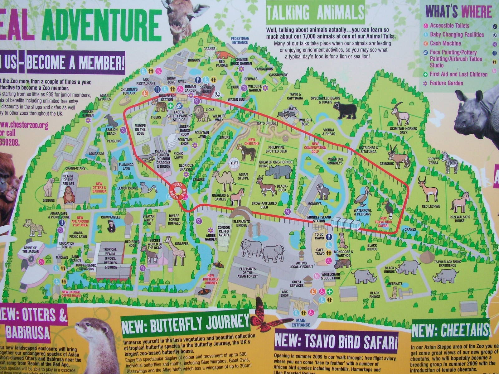 Current Map at Chester 06/12/09