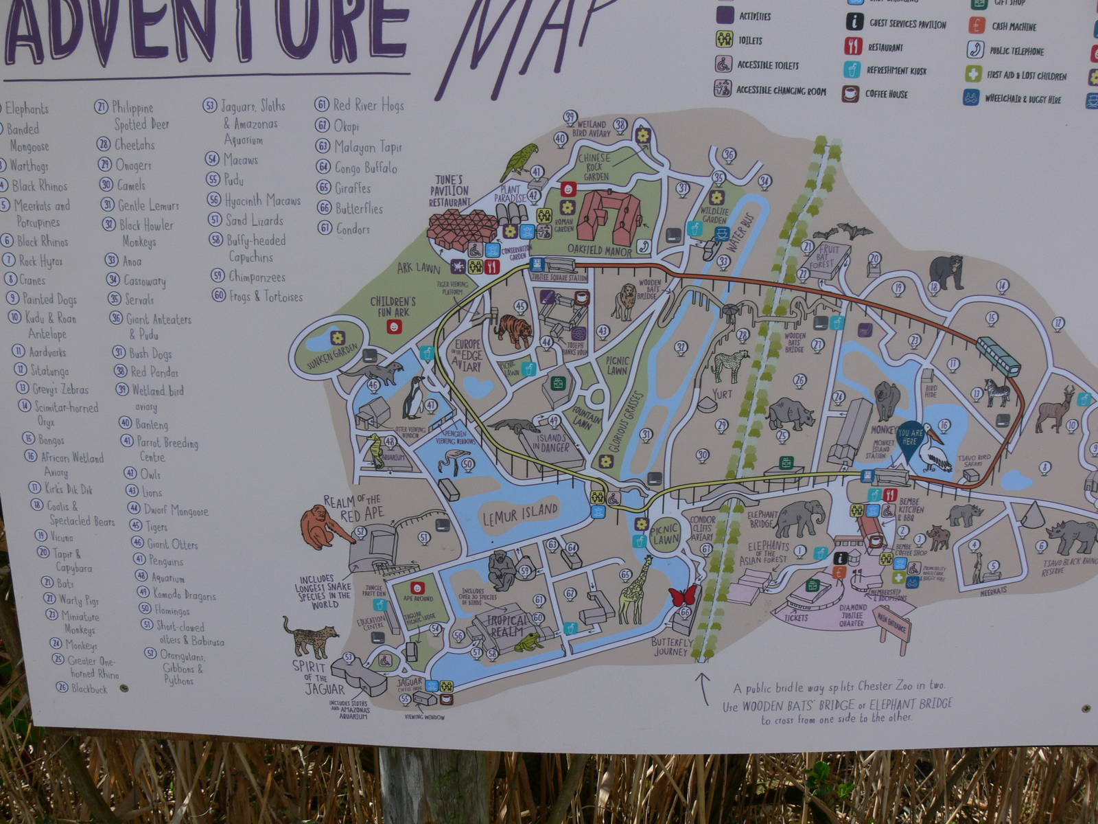 Current map at Chester Zoo, 14/04/14