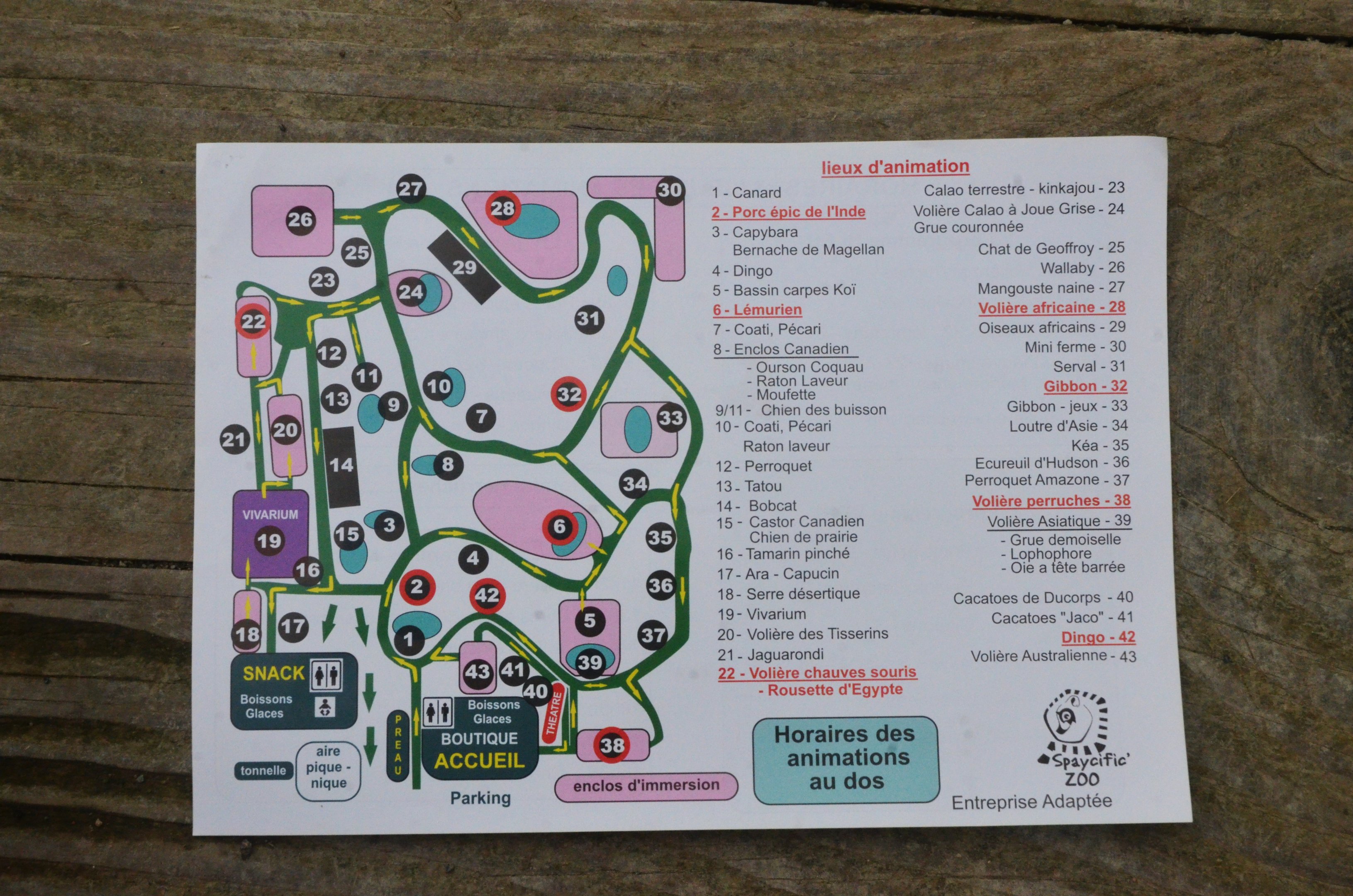 Current Map at Spaycific'Zoo, 13/06/18