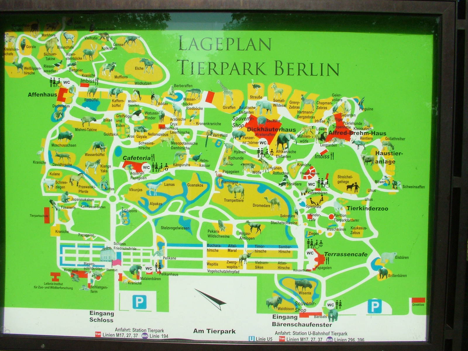 Current Map of Tierpark Berlin, 01/09/11
