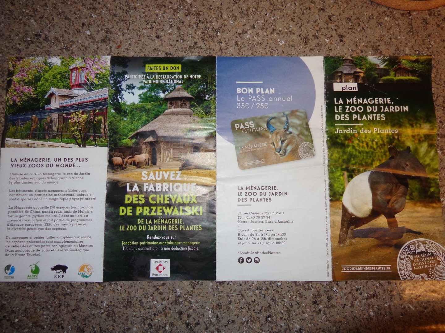 Current Menagerie Map Exterior