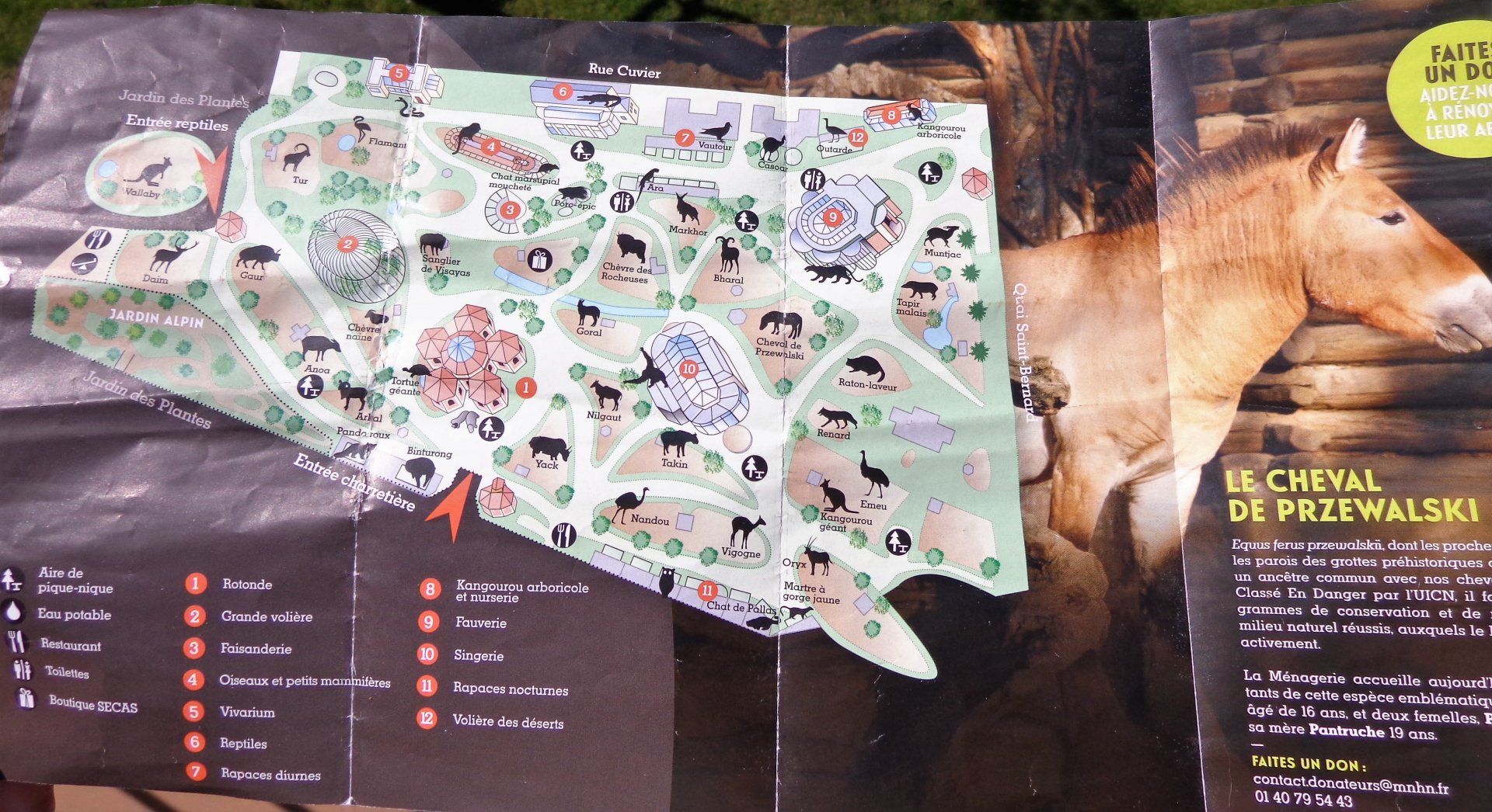 Current Menagerie Map Interior