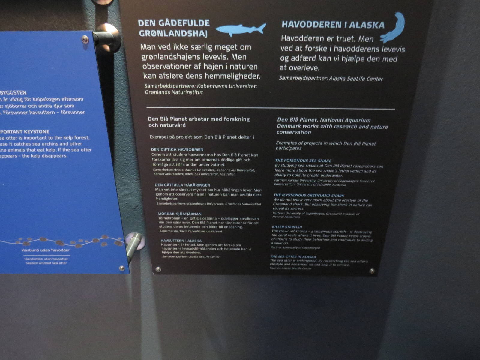 Current research projects, June 2015.