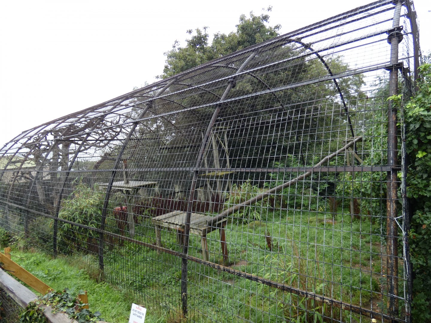 Current Snow Leopard enclosure