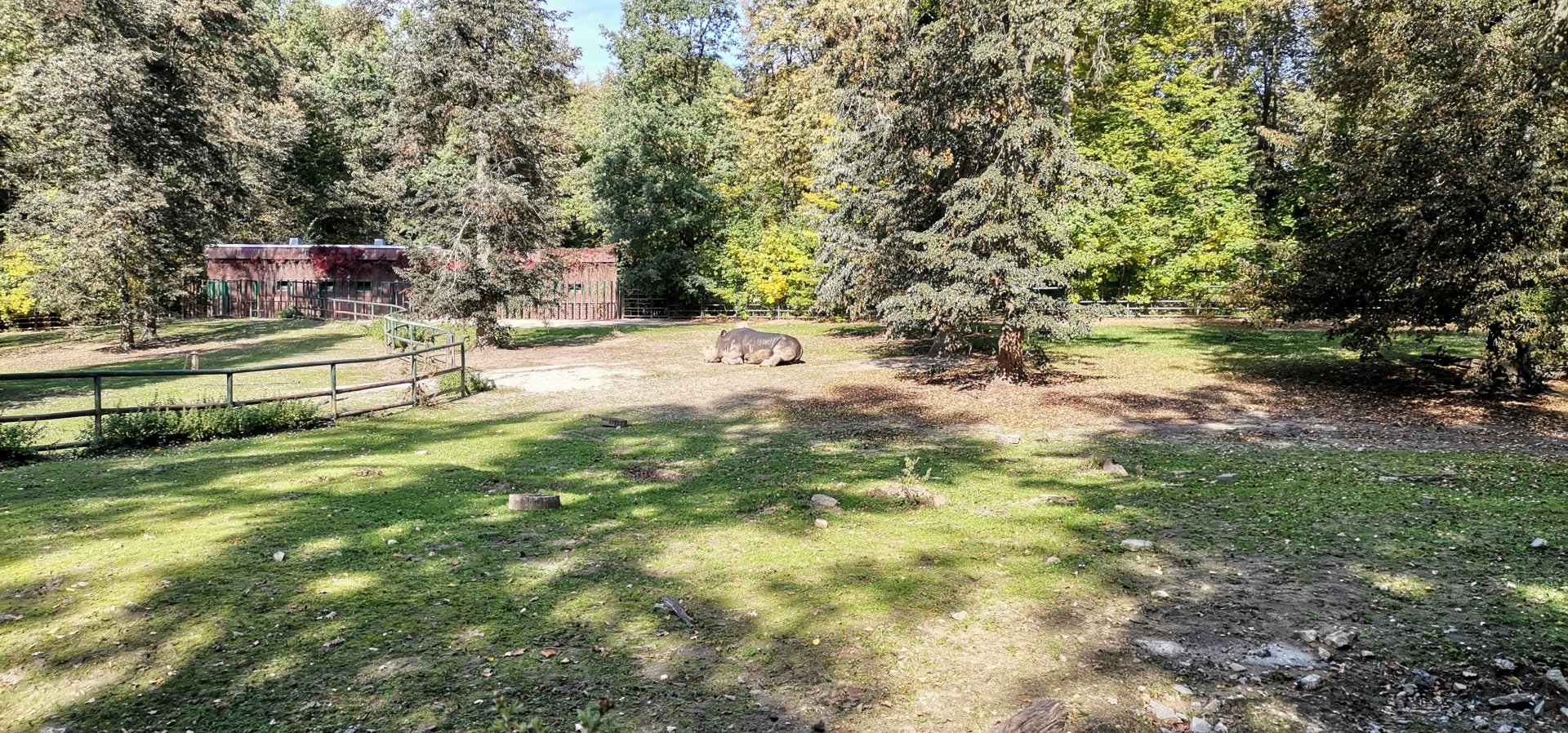 Current White Rhino home