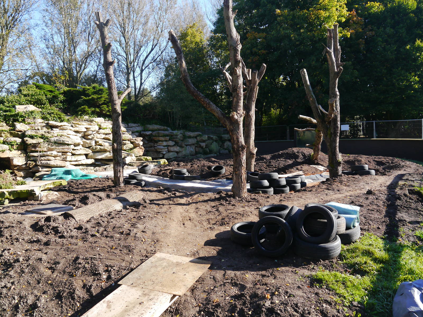 Current work on Bushdog enclosure.