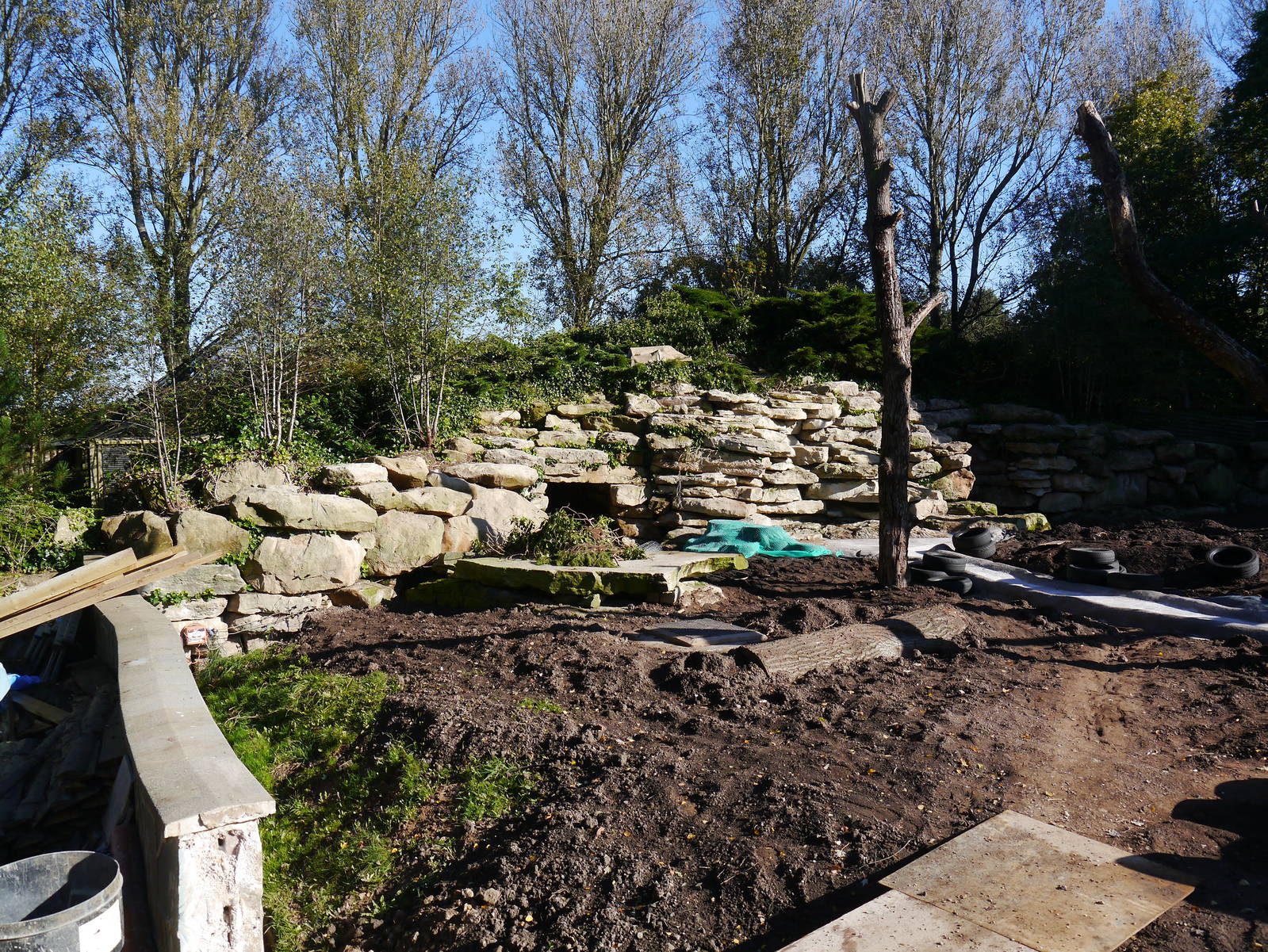 Current work on Bushdog enclosure.