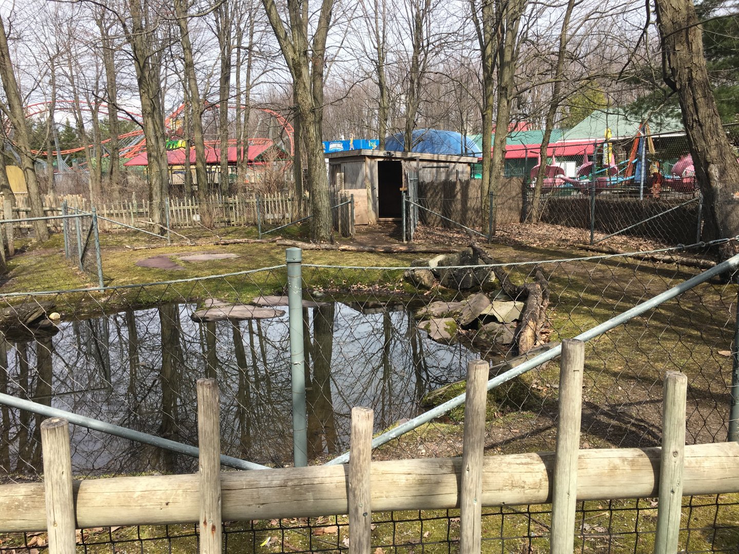 (Currently Empty) Capybara Exhibit