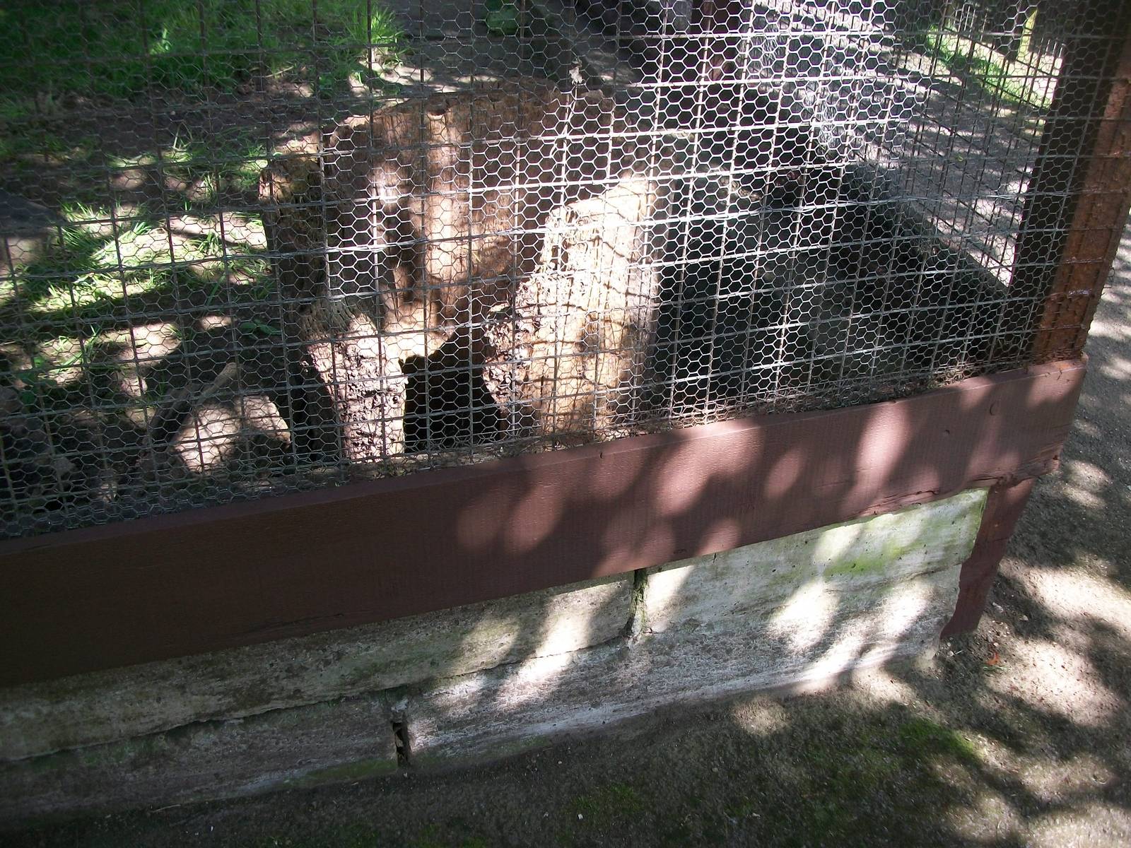 Currently empty exhibit refurbished by KeeperKatie and madgeandshane, 21st