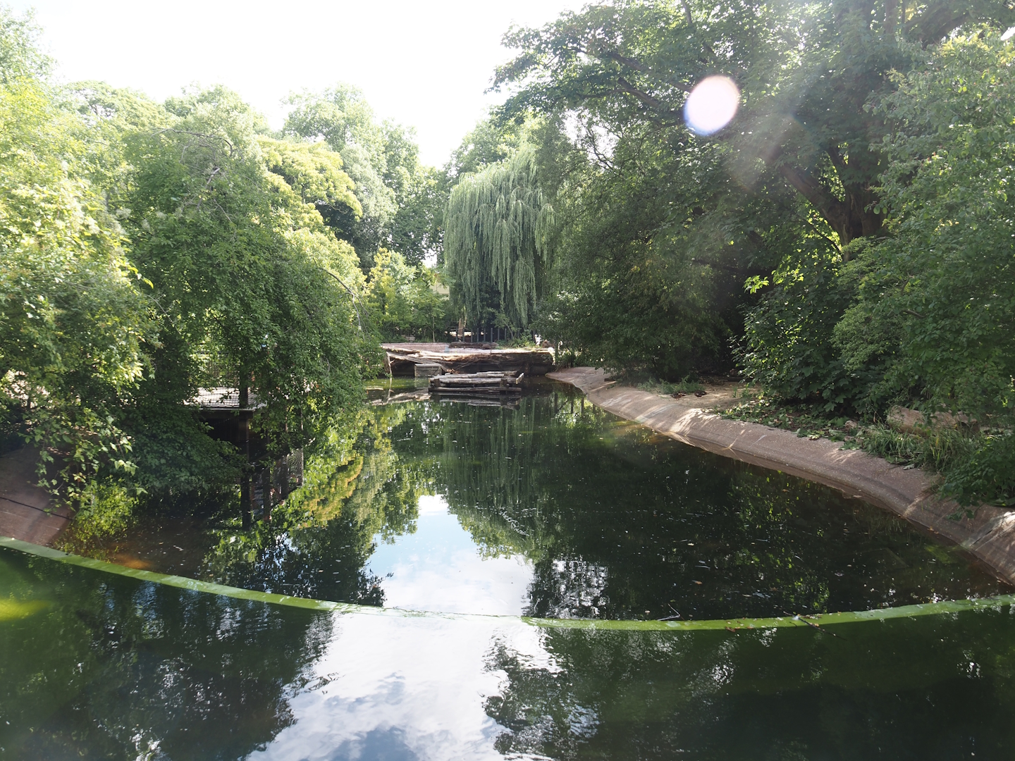 Currently empty pelican pond, soon to be Dalmatian pelican and European white stork exhibit, 2025-07-21