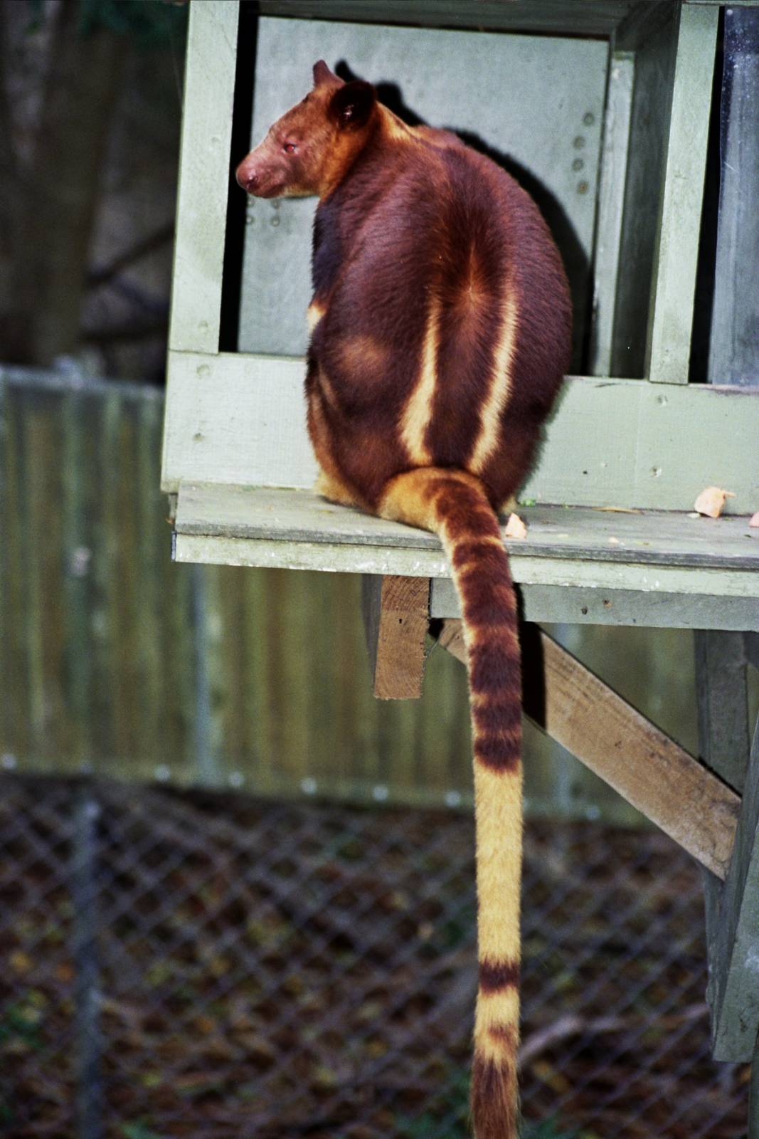 Currumbin Wildlife Sanctuary 2007