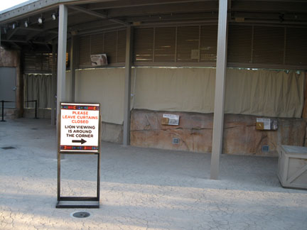 curtains to block lions from cheetahs