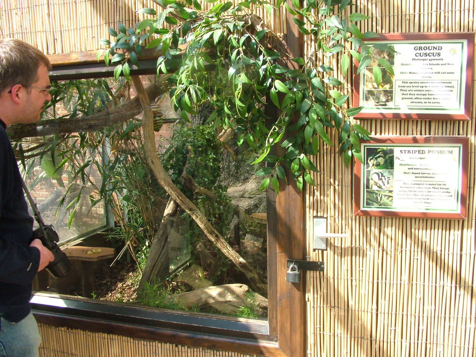 Cuscus and Possum exhibit at Cotswold WP 13/04/09